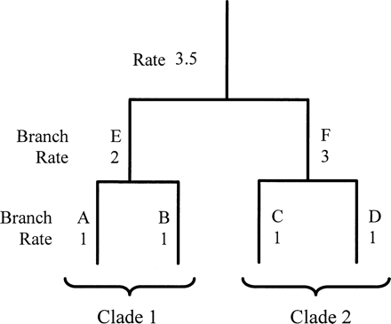 Fig. 2.—Hypothetical example of a nonautocorrelation model (fig. 1 ) where identical mutation rates occur at different parts of the phylogeny (rate in branches A and B = rate in branches C and D) and the construction of two different groups of models assuming autocorrelation where the mutation rate at different parts of the phylogeny is not assumed to be identical (rate in clade 1 ≠ rate in clade 2). Approach 1: mutation rate in branches A and B ≠ that in branches C and D, and the model is recalculated. Approach 2: mutation rate in branches A, B, and E is assumed to be identical, as is the mutation rate in branches C, D, and F, but the rate in branches A, B, E ≠ rate in branches C, D, E, and the model is recalculated