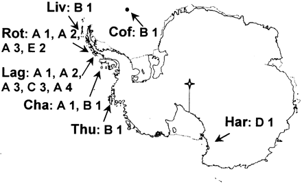 Fig. 1.—Sampling sites of the four species of the genus Umbilicaria. The following locations represent the sampling sites along a transect from the northern maritime Antarctic to the continent: Cof: Coffer Island, Liv: Livingston Island, Rot: Rothera Point, Lag: Lagoon Island, Cha: Charcot Island, Thu: Thurston Island, Har: Harrow Peak. See Materials and Methods for details on the precise coordinates. A–E represent the algal ITS variants and the four different mycobiont species are numbered 1–4. South Pole.