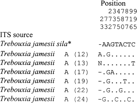 Fig. 3.—Polymorphisms of the entire internal transcribes spacers (ITS I and ITS II) and the intervening 5.8S ribosomal DNA gene are shown for the photobiont Trebouxia jamesii sila of four Umbilicaria species investigated. Sample number see table 1 , Trebouxia jamesii sila*: accession number AF128270. Sequences were determined on both strands. Only polymorphisms that were unambiguous on both strands are shown. Nucleotide differences to the uppermost sequence are shown, dots indicate identity with the uppermost sequence, except for gaps, all of which are indicated as (“–”)