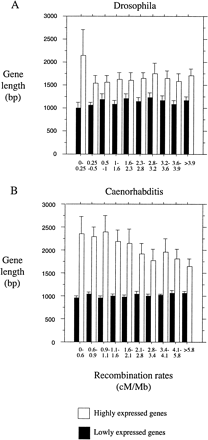 Fig. 2.—Relationship between gene length (bp) and recombination in (A) D. melanogaster and (B) C. elegans. Error bars correspond to the 95% interval