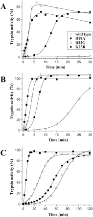 Effect of activation peptide mutations on autoactivation of human cationic trypsinogen. Approximately 2 μM wild-type or mutant trypsinogen (final concentration in a final volume of 100 μl) was incubated at 37°C, in 0.1 M Tris-HCl (pH 8.0) with no Ca2+ added (A) or with 1 mM CaCl2 (B) or in 0.1 M Na-acetate buffer (pH 5.0) in the presence of 2 mg/ml bovine serum albumin (C). Aliquots of 2.5 μl were withdrawn from reaction mixtures at indicated times and trypsin activity was determined with the synthetic substrate N-CBZ-Gly-Pro-Arg-p-nitroanilide. Activity was expressed as percentage of the potential total activity, as determined on similar zymogen samples activated with enteropeptidase