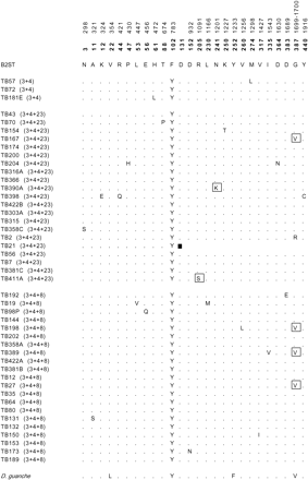Replacement polymorphism at the ACPH-1 preprotein in the 45 lines of D. subobscura from Bizerte (Tunisia). Fixed differences relative to the D. guanche sequence (EMBL accession number Y18841) are also shown in the last row of the alignment. The numbering at the top is given as in figure 2, using as reference the B2ST sequence (EMBL accession number Y18839). Numbers in boldface correspond to amino acid residues in the ACPH-1 preprotein. Dots indicate amino acids identical to the reference sequence. The amino acid sequence of line TB21 is altered from residue 119 (data not shown) as the result of a frameshift mutation that results in a premature stop codon (black square). Replacement polymorphisms shared with the Spanish lines are boxed