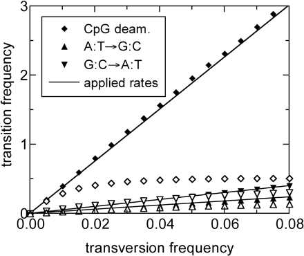 Comparison of the maximum-likelihood (ML) and the direct-counting (DC) method: 20,000 copies of MIR sequence (5 Mb in length) were synthetically evolved for various periods of time from an ancestor sequence. We use a stochastic model with mutation rates as given in the text. The estimated transition frequencies are plotted against the average of the estimated transversion frequencies, for sequences evolved for different periods of time. The two single-nucleotide transition processes are shown as triangles and the CpG-based transition are shown as diamonds. Furthermore, the ML results are distinguished by the solid symbols from the DC results (open symbols). The solid lines correspond to the actual substitution frequencies used. The ML method is able to recover the “true” substitution frequencies (the solid lines) throughout the studied regime, whereas the DC method quickly saturates for the fastest CpG-based transition