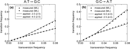 Same test as in figure 2 but including changes in the single-base transition rates at t0 = 0.025, mimicking a situation found for the human genome as shown in figure 5. The graphs show the substitution frequencies (triangles) for (a) the A:T→G:C transition and (b) the G:C→A:T transition as estimated by the ML analysis. Each graph presents two sets of data (the upward and downward triangles) corresponding to substitution frequencies observed in GC-poor and GC-rich regions. The transversion rates remained constant in all sets. The relative transition rates used before and after t0 are indicated by the slopes of the solid lines drawn