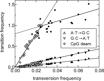 Genome-wide averages of the substitution frequencies for the 42 subfamilies of REs in humans are determined using the ML analysis. Plotted are the substitution frequencies for the two single-nucleotide transitions (triangles) and the CpG-based transition (diamonds) versus the average transversion frequency. Each symbol represents the frequencies determined from one subfamily. Statistical error is of the size of the symbol and not shown. Filled symbols are used to represent REs that have been inserted before the mammalian radiation and are found in all mammals. The two single-nucleotide transition processes can be well fitted by a single line (R = 0.99), whereas the CpG-based transition must instead be fitted by at least two lines joining at a time t0 = 0.025