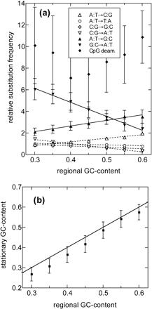 Substitution patterns before the “time” t0. (a) Substitution frequencies (relative to the average transversion frequencies) as determined from REs with different regional GC content. These frequencies were determined by straight-line fits to data such as those shown in figure 4, for the portion with average transversion frequencies greater than 0.03. Up-pointing triangles represent GC-enriching substitutions and down-pointing triangles represent AT-enriching substitutions. Lines are drawn to guide the eyes. (b) The expected stationary GC content computed for the substitution rates shown in (a) for the different regional GC contents. The straight line indicates the equality of the stationary and regional GC content