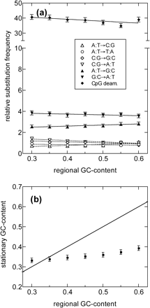 Substitution pattern after t0: (a) relative substitution frequencies determined and presented in the same way as in figure 6a but using only REs with average transversion rates less than 0.02. Note the change in scale for the much larger CpG-based transition (diamonds). (b) The expected stationary GC content computed using the GC-dependent substitution rates shown in (a). Note that it is far from the straight line (the equality of the stationary and regional GC content), indicating that the regional GC content is far from being equilibrated by the current rates. The eventual stationary GC content according to the plot is 35% to 40%