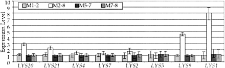 Expression levels of the genes in the lysine biosynthesis pathway, charted in the order of their action, among four natural isolates of Saccharomyces cerevisiae