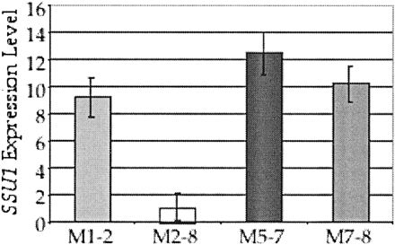 Expression level of the sulfite exporter SSU1 among four natural isolates of Saccharomyces cerevisiae