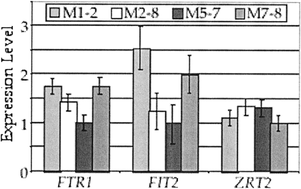 Expression levels of FTR1, an iron transporter; FIT2, a facilitator of iron transport; and ZRT2, a zinc transporter, among four natural isolates of Saccharomyces cerevisiae