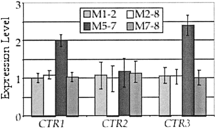 Gene expression levels of three copper transport genes in four natural isolates of Saccharomyces cerevisiae