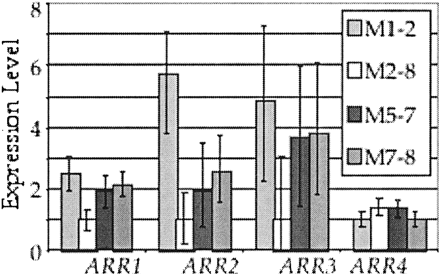 Gene expression levels for four genes associated with arsenate/arsenite resistance, among four natural isolates of Saccharomyces cerevisiae