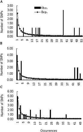 Frequency spectrum of derived alleles. (A) Chinese population; (B) Caucasian population; (C) African population. Obs., the observed number of SNPs; Exp., the expected number of SNPs. The expected frequency spectrum is given by Watterson (1975). That is, at the neutral equilibrium, the expected number of SNPs sites at which the derived allele is present i times in the sample is given by 4Nv/i, where N and v are the effective population size and mutation rate, respectively. The formula to estimate 4Nv is the number of observed sites divided by (1 +1/2 + 1/3 + … + 1/n−1), where n is the number of chromosomes in each population