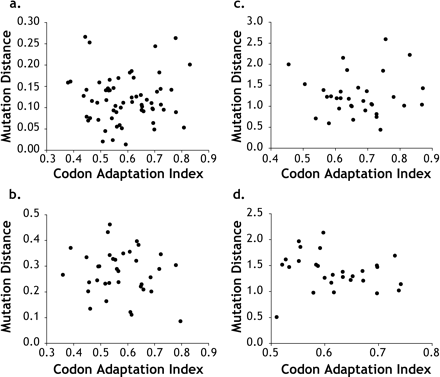 Relationship of estimated mutation distances (dμ) and codon adaptation index (CAI) for the comparison of D. melanogaster with (a) D. simulans, (b) D. yakuba, (c) D. psuedoobscura, and (d) D. virilis. The correlation between dμ and CAI is not significant in any of the cases (P > 0.7, 0.80, 0.3, and 0.4, respectively)