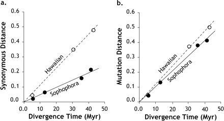 The relationship of synonymous distances (a) and mutation distances (b) with time for the Adh gene in the subgenus Sophophora lineage leading to D. melanogaster (filled circle) and in the subgenus Drosophila leading to the Hawaiian D. picticornis (open circle). Regression analysis shows slopes of 0.011 and 0.005 for subgenus Sophophora and Drosophila, respectively, in panel a. These values are 0.012 and 0.010 in panel b.