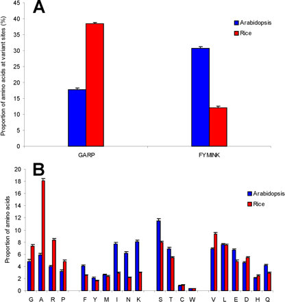 Amino acid content of homologous rice and Arabidopsis protein sequences. (A) The content of G, A, R, and P and F, Y, M, I, N, and K amino acids (expressed as percentages) for high G+C rice genes and their Arabidopsis homologs (1,000 genes each). These data are based on variant sites only in the aligned homologous sequences (see Materials and Methods). (B) Proportions of individual amino acids at variant sites (expressed as numbers per 10,000 variant sites) plotted for the high G+C rice genes and their homologs from Arabidopsis. The values for the rice genes are shown in red, and the values for the Arabidopsis homologs are shown in blue. The error bars represent the 99% confidence intervals