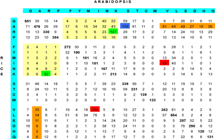 Amino acid exchange matrix. This figure shows the pattern of sequence divergence between the high G+C rice genes and their Arabidopsis homologs. Homologous sequences were aligned, and the numbers of sequence mismatches were scored. Values in the matrix were scaled to represent the number of amino acid mismatches per 10,000 sites. Highlighted areas are discussed in the text