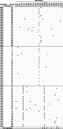 Polymorphic sites in 782 bp of the mitochondrial Cox3 locus. Numbering refers to the position in the coding sequence of the Cox3 gene.