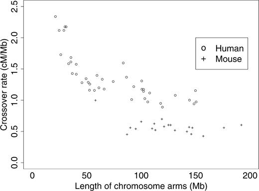 Crossover rate (cM/Mb) of human and mouse chromosome arms as a function of their length (Mb). The human karyotype consists of 41 chromosomal arms (18 metacentric and 5 acrocentric chromosomes), ranging from 21 to 150 Mb in length (on average, 74.5 ± 39 Mb). The mouse karyotype (Mus musculus) consists of 20 chromosomal arms (all chromosomes are acrocentric), ranging from 58 to 192 Mb in length (on average, 1,24.6 ± 32 Mb). Y chromosomes are not included