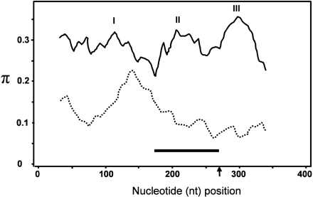 Distribution of nonsynonymous substitutions along the 369 alignable coding sequence of RPW8 family members by application of a sliding window of 50 nt with 5-nt steps (DnaSP3.51). Solid line indicates the estimated nucleotide diversity (π) between AtRPW8.1, AtRPW8.2, AtHR4, and AtHR3, and three regions with higher π values are indicated by I, II, and III. Dashed line indicates the estimated π between AtHR1, AtHR2, and AtHR3. Arrow indicates the split site of the two exons. Bar indicates the approximate nt position of the coiled-coil motif