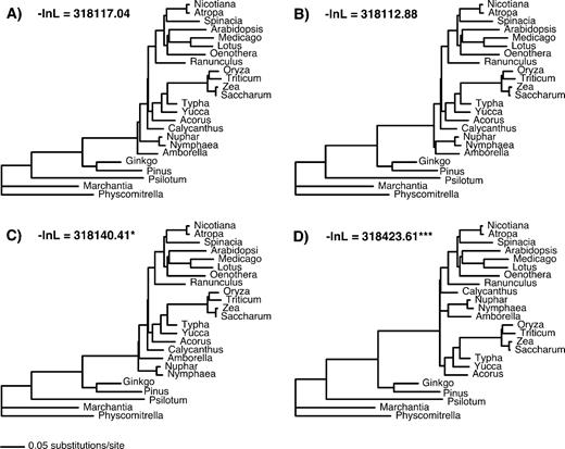 Nucleotide-based ML phylogenies estimated using the HKY + Γ + I substitution model while constraining Amborella (A), Amborella + water lilies (B), water lilies (C), or monocots (D) as sister to remaining angiosperms. Likelihood for each hypothesis is shown with each phylogeny.