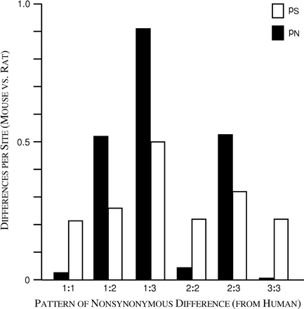 Mean number of synonymous differences per synonymous site (pS) and mean number of nonsynonymous differences per nonsynonymous site (pN) between mouse and rat at 347,817 individual codons categorized on the basis of the pattern of nucleotide differences between the two rodent species and human. The patterns of difference from human are as follows: 1:1 = one difference in each species; 1:2 = one difference in one species and two differences in the other; 1:3 = one difference in one species and three differences in the other; 2:2 = two differences in each species; 2:3 = two differences in one species and three in the other; 3:3 = three differences in each species. Any codon at which either species did not differ from human was not included in the analysis. Both mean pS and mean pN differed significantly among categories (one-way analysis of variance; P < 0.001 in each case).