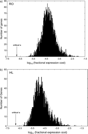 Distribution of the fractional energy cost of simultaneously doubling messenger RNA (mRNA) and protein expression of a gene. (a) Ribosomal occupancy approximation. (b) Long half-life approximation. Note the logarithmic scale on the horizontal axis. The arrow points to the fractional cost below which a change is effectively neutral. The black curve shows a fit to a normal distribution.