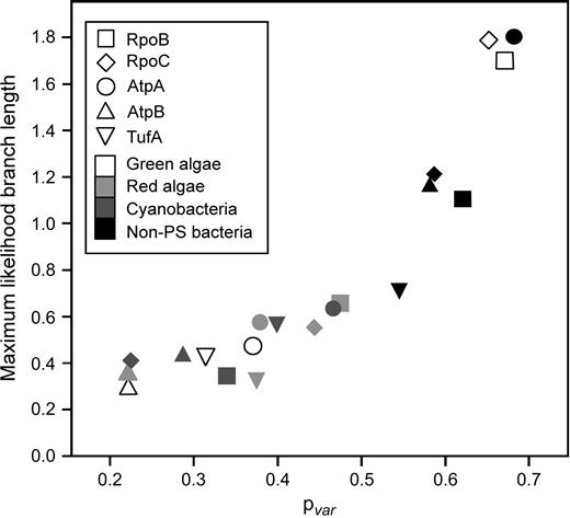 Plot for each of the trees shown in figure 1 of summed branch lengths and estimated pvar. Correlation coefficients were calculated (eight data points in each comparison) for all pairwise combinations of genes (e.g., for RpoB + AtpA: the pvar values associated with the trees shown in columns 1 and 3 of figure 1 were compared with the summed branch length values of these same trees); values were all signficant at P = 0.05 and ranged between 0.74 and 0.94.