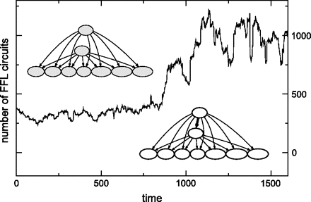Avalanche of FFL network motifs. An initial period of duplication–deletion creates highly connected duplicate regulators. An extraregulatory connection between them leads to as many FFL circuits as the amount of coregulated targets. The picture corresponds to a simulation run performed with default parameters (see text for information on this rates).