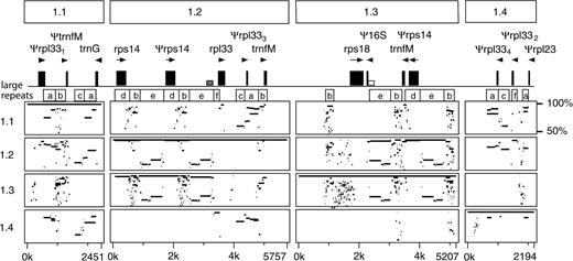 Percentage identity plots from MultiPipMaker showing identities within and between each of the 4 members of repeat association 1. Large repeats are labeled a–f.