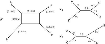 A simple confidence network N and two trees T1, T2. The network contains the tree T1 with the given branch lengths, but it does not contain tree T2 because the split AB|CD has weight 0 in tree T2 (i.e., it is not present), but the CI for the weight of AB|CD in the network does not include 0.