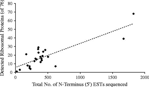 Correlation between the total number of ESTs sequenced and the number of genes from the 76 (nonacidic) nuclear RPs in Coleoptera.