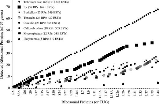Detection of the complete set of 76 nuclear RP genes in beetles (Series Cucujiformia). Genes are arranged along the x axis according to the standard RP nomenclature. Legend refers to coleopteran genus (number of RPs detected: number of N-terminus (5′/forward pass) ESTs sequenced with high base-call quality).