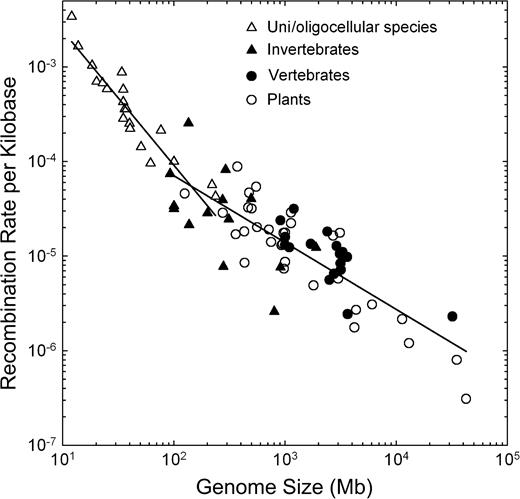 The negative relationship between recombination rate per physical distance (c) and total genome size (G) in eukaryotes, scaling as c = 0.0019G−0.71 for animals and land plants, with the exponent having a standard error (SE) of 0.06, and as c = 0.045G−1.32 for fungi and other unicellular/oligocellular species, with the exponent having a SE of 0.12. In the two respective cases, genome size accounts for 70% and 80% of the variance in recombination rate. (For further details, see Supplementary Table 1, Supplementary Material online).