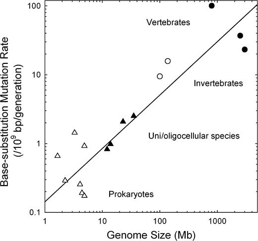 The relationship between the mutation rate for base substitutions per nucleotide site per generation (u) and genome size (G) scales as u = 0.14G0.78 (×10−9), with the exponent having a SE of 0.10 and genome size accounting for 79% of the variance in the mutation rate. (For further details, see Supplementary Table 2, Supplementary Material online).