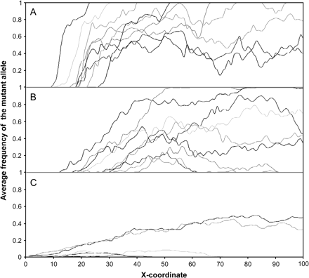 Profile of mutant frequency along the x axis. The average frequency of the mutant allele along the x axis is shown for 10 randomly chosen successful simulations for different deme sizes. (A) K = 10. (B) K = 50. (C) K = 500. Some simulations clearly show a clinal pattern with an increase in mutant frequency toward the right part of the range. In all cases, the mutant initially appeared at position 10. Simulation conditions were m = 0.2 and r = 0.5.