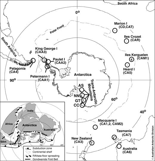 Map of the Southern Hemisphere showing the locations of all samples used. Further details for each site are provided in table 1. Inset (modified from McLoughlin 2001): approximate alignment of the Gondwanan continental landmasses (NZ = New Zealand; AP = Antarctic Peninsula; SAm = South America) that have formed the basis for vicariant hypotheses.