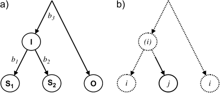 A simple 3-taxon tree. In (a), the 2 closest “sister” taxa (S1 and S2) diverge at an internal node (I), which represents the most recent common ancestor of these 2 taxa. At some unknown root point lies the common ancestor of these 2 taxa and the outgroup (O). The distances, or branch lengths, separating I from S1, S2, and O are labeled b1, b2, and b3, respectively. In (b) parsimony reconstruction of an “informative” site is depicted. The amino acid i (dashed lines) is inferred to exist at the root and in the common ancestor of the sister taxa because it is in one of the sisters and in the outgroup. The amino acid in the ancestral node is in parentheses to emphasize that the state here (and therefore the substitution from i to j along the branch leading to S2) is inferred rather than observed as in the 2 sister taxa and the outgroup.