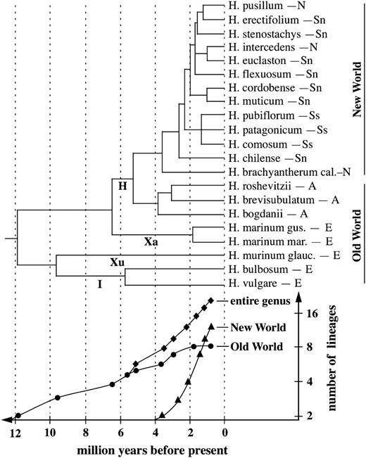 Phylogenetic tree of the diploid Hordeum species derived from sequences of 3 nuclear loci (Blattner 2006). This tree was adopted for a graphical representation of the diversification rates in Hordeum in a lineages-through-time plot. Letters below the branches depict the Triticeae genomes occurring in Hordeum. The geographical distributions of the species are coded as follows: E = western Eurasia, A = central and East Asia, N = North America, Sn = South America/northern group, and Ss = South America/southern group.