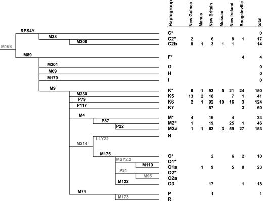 The phylogenetic relationship of 14 NRY haplogroups based on 22 SNPs. The results on 18 SNPs (in black) are summarized by primary island group in the right hand column (New Hanover is merged with New Ireland). The SNPs in gray are presented only for context but have not been analyzed in the current study.