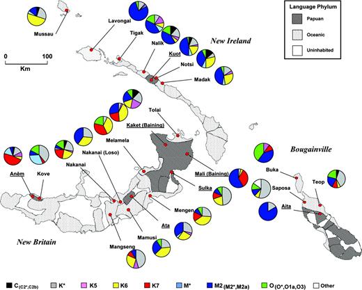 NRY haplogroup frequency distributions across 24 Northern Island Melanesian populations. Red nodes represent the location of the sampled populations. Dark shading denotes the Papuan language distributions and lighter shading denotes Oceanic languages.