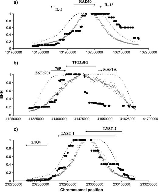 Decay of homozygosity in the EHH test for RAD50, TP53BP1, and LYST in Yorubans. The plots show the observed extent of homozygosity and confidence intervals (CIs) in the 3 loci significant for the EHH test in Yorubans: (a) RAD50, (b) TP53BP1, and (c) LYST. The small gray dots represent the 95% upper limits of the EHH distribution obtained by simulations. The discontinuous line shows the 99.5% upper limits (representing an FDR value of ca. 4%). The bigger black dots represent the observed EHH values. Above each graph, the approximate localization of the loci under study and their surrounding neighbors is indicated by arrows pointing in the sense of transcription.