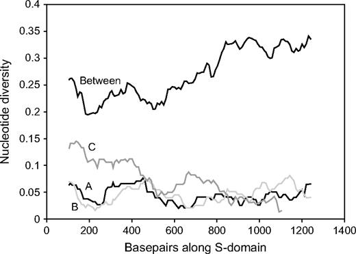 Sliding-window analysis of nucleotide divergence (coding sequence only). The lines labeled “A,” “B,” and “C” show the values between the respective haplogroup sequences of Arabidopsis lyrata and Arabidopsis thaliana. The figure also shows (line labeled “Between”) the mean divergence between the 3 A. lyrata sequences corresponding to the 3 sequenced A. thaliana haplogroups: AlSRK16 (haplogroup B), AlSRK36 (haplogroup C), and AlSRK37 (haplogroup A). The window size is 200 bp, with a step size of 10.