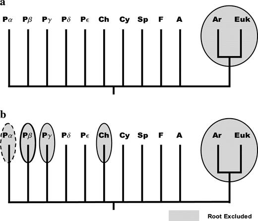 Two nearly unresolved trees illustrating phylogenetic regions from which the root is excluded by the VNK/NPD indel and by the RGIT/DTPGH indel are shown in (a) and (b), respectively. The taxa illustrated include the Archaea (Ar), the Eukaryotes (Euk), the alpha-, beta-, gamma-, delta-, and epsilon-proteobacteria (Pα, Pβ, Pγ, Pδ, and Pε, respectively), the Chlorobi (Ch), the Cyanobacteria (Cy), the Spirochetes (Sp), the Firmicutes (F), and the Actinobacteria (A). Regions excluded by indels are circled by ellipses and shaded, see text.