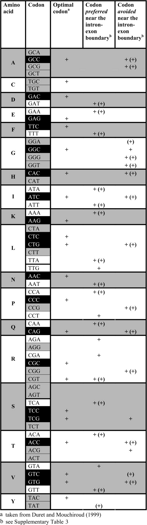 Information on optimal codons and relative codon abundance near intron–exon boundaries for all degenerately coded amino acids in Drosophila melanogaster. A codon is marked as preferred or avoided near the intron–exon boundary when there is a significant correlation between distance from the boundary and relative codon abundance after correction for multiple testing (see supplementary table 3, Supplementary Material online). Significant correlations obtained using a random 50% sample of the original set of genes are marked (+). Note that ‘preferred’ codons and optimal codons form almost perfectly exclusive groups and that, moreover, optimal codons are frequently classified as ‘avoided.’ See Material and Methods for the relevance of differential codon shading.