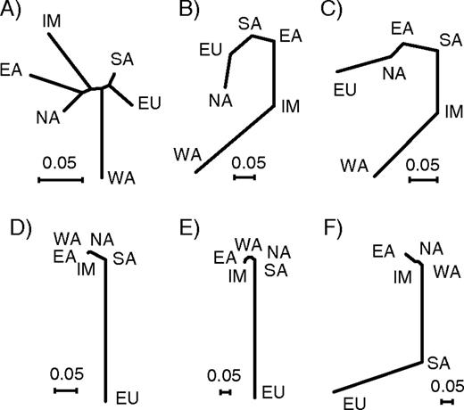 Neighbor-Joining trees based on (a) average FST values among the 6 populations typed on the Affymetrix 10K WGSA chip and locus-specific FST values at (b) ASIP A8818G, (c) OCA2 A355G, (d) TYR A192C, (e) MATP C374G, and (f) SLC24A5 A111G. Populations are abbreviated as follows: WA, West African; SA, South Asian; NA, Native American; EU, European; EA, East Asian; IM, Island Melanesian.