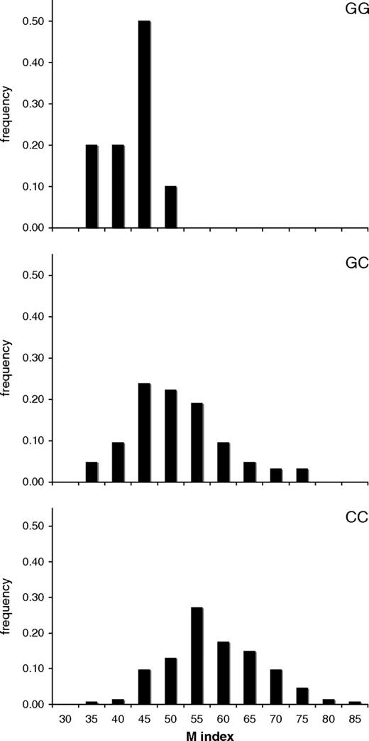Distribution of M index values for each of the 3 genotype classes at MATP C374G in a sample of 202 African-American individuals. The ancestral allele, C, has an effect size per allele of +5 melanin units (95% CI: +2.5 to +8), and its effects are consistent with an additive mode of inheritance.