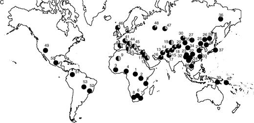 Distribution of allele frequencies in the CEPH-Diversity Panel for the 5 SNP showing elevated pairwise FST values for at least one population pair in our original population screen: (A) ASIP A8818G, (B) OCA2 A355G, (C) TYR A192C, (D) MATP C374G, and (E) SLC24A5 A111G. On all maps, gray shading corresponds to the frequency of the allele associated with lighter pigmentation. The numbered populations correspond to the following: 1) Biaka pygmies, 2) Mbuti pygmies, 3) Mandenka, 4) Yoruba, 5) Bantu N.E., 6) San, 7) Bantu S.E., 8) Bantu S.W., 9) Mozabite, 10) Bedouin, 11) Druze, 12) Palestinian, 13) Brahui, 14) Balochi, 15) Hazara, 16) Makrani, 17) Sindhi, 18) Pathan, 19) Kalesh, 20) Burusho, 21) Han, 22) Tujia, 23) Yizu, 24) Miaozu, 25) Orogen, 26) Daur, 27) Mongola, 28) Hezhen, 29) Xibo, 30) Uygur, 31) Dai, 32) Lahu, 33) She, 34) Naxi, 35) Tu, 36) Yakut, 37) Japanese, 38) Cambodian, 39) Papuan, 40) NAN Melanesian, 41) French, 42) French Basque, 43) Sardinian, 44) Northern Italian, 45) Tuscan, 46) Orcadian, 47) Adygei, 48) Russian, 49) Pima, 50) Maya, 51) Columbian, 52) Karitiana, 53) Surui.