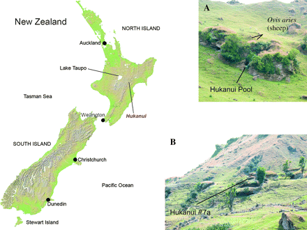 Map of New Zealand, showing location of Hukanui sites: (A) General view of rock pile containing Hukanui Pool site, (B) General view of rock pile containing Hukanui #7a site.