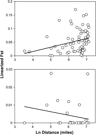 Mantel tests for isolation by distance. Top panel: Regression based on microsatellite-derived FSTvalues among 12 populations. Regression slope = 0.054 ±0.007. R2= 0.084. Mantel probability P<0.004. Bottom panel: Regression based on ND4-derived FSTvalues among 8 populations. Regression slope = −0.002 + 0.002. R2= 0.043. Mantel probability P= 0.81.